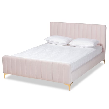 Nami Modern Glam And Luxe Light Pink Velvet Fabric And Gold Finished Queen Size Platform Bed